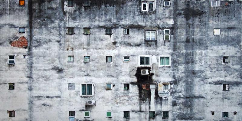 巴马坡月村“候鸟人”的养生密码：探寻天然食品与长寿特产的生活实践