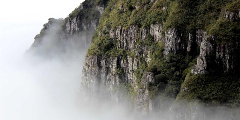 广西巴马中医药资源普查：揭秘特色瑶药品种与现代应用开发，探寻长寿食品与巴马矿泉水的健康密码