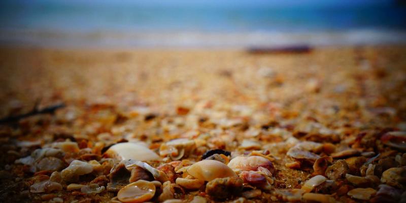 探秘世界长寿之乡：跟随广西巴马药师上山识药，解读火麻仁与矿泉水的养生密码