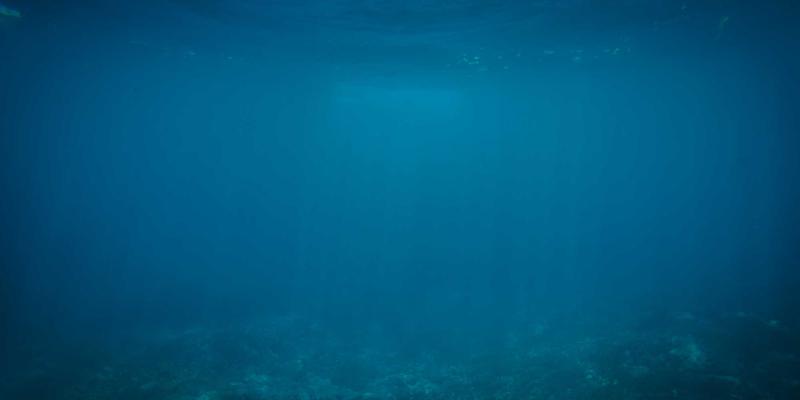 探秘巴马火麻仁：长寿之乡的养生瑰宝与现代健康食品应用