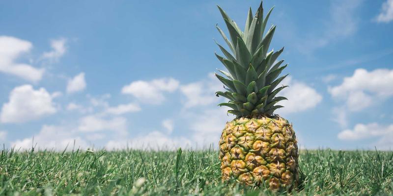 探秘广西巴马长寿村：与百岁老人同吃同住的日常作息与健康食品观察实录